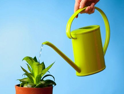 Методы улучшения качества воды