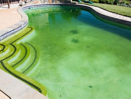 Мутная вода в бассейне